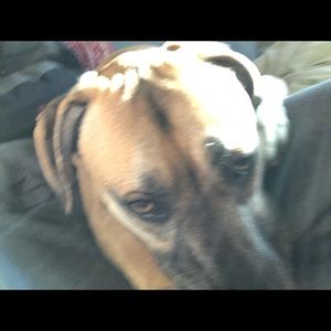 Meet your Posher, Nicholas